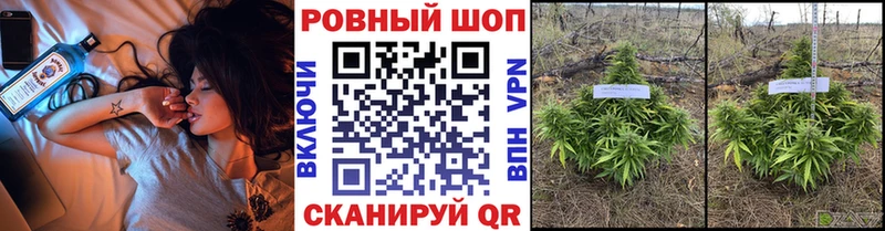 Купить закладку ГАШ Канабис Меф Жиздра