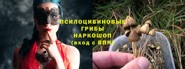 соль ск Нея
