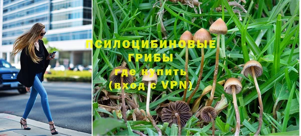 соль ск Нея